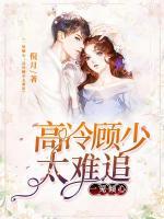 一见倾心:高冷顾少太难追