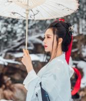 撩心王妃:这坑爹的穿越