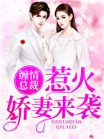 缠情总裁:惹火娇妻来袭