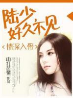 情深入骨:陆少,好久不见