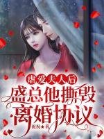 虐爱夫人后,盛总他撕毁离婚协议
